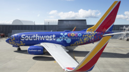 southwest airlines coco