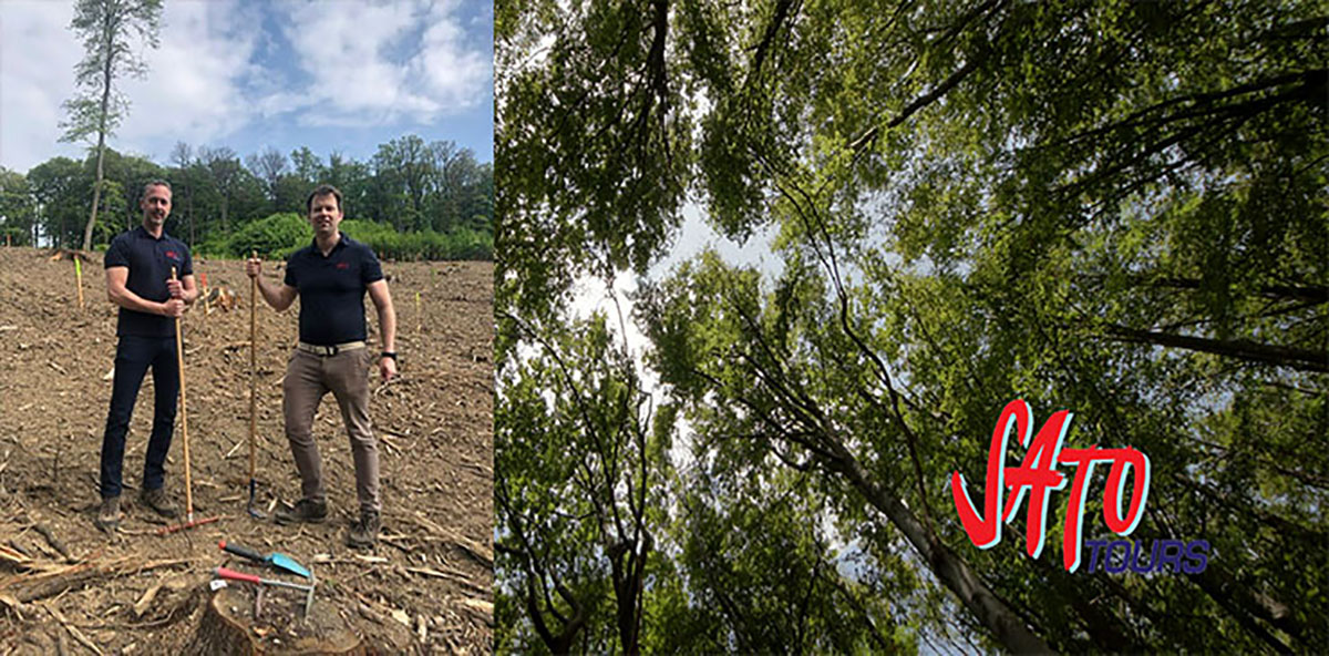 SATO logra su meta al sembrar 3 mil árboles en los bosques de Viena
