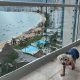 Acapulco: el destino perfecto para viajar con tu mascota
