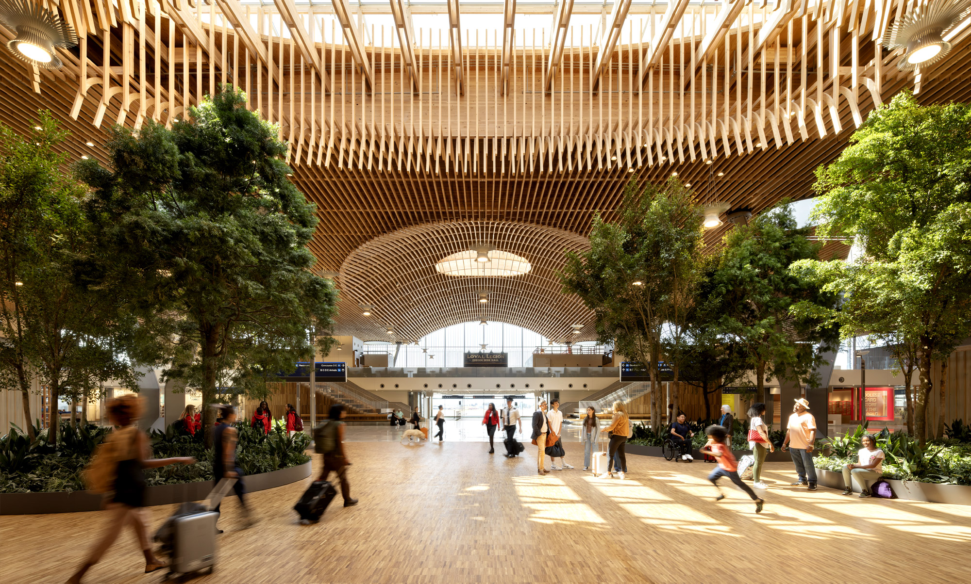 El espacio que redefine la experiencia de viajeDescubre el renovado Aeropuerto Internacional de Portland