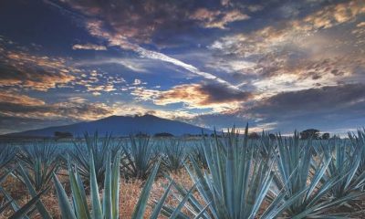 La Secretaría de Turismo de México se incorpora a la Red Iberoamericana de Destinos Inteligentes