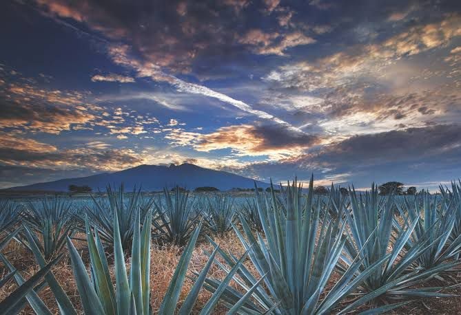 La Secretaría de Turismo de México se incorpora a la Red Iberoamericana de Destinos Inteligentes