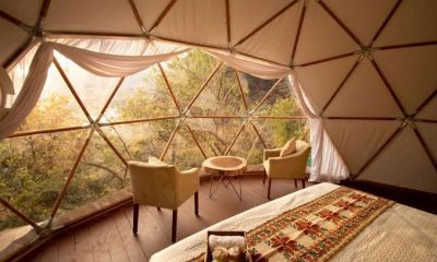 Glamping: Impulso sostenible al turismo de naturaleza