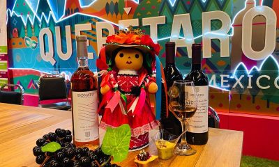 Anuncian la fiesta de la Vendimia Donato 2025, en Querétaro