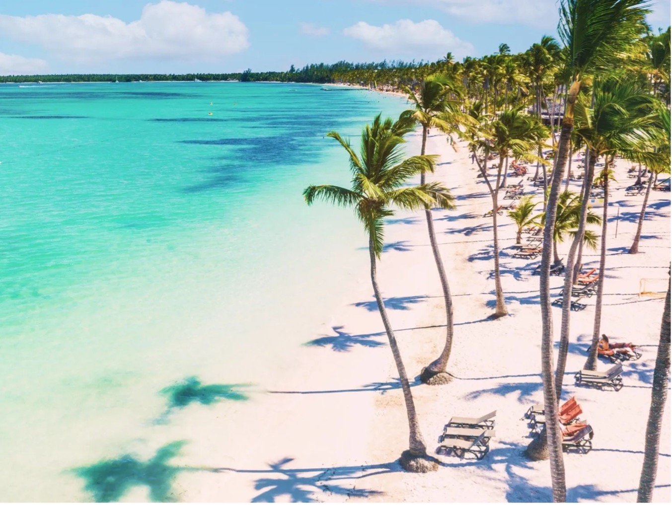 República Dominicana rompería récord turístico en 2025 con más de 21 mil millones de dólares en aportación al PIB: WTTC República Dominicana rompería récord turístico en 2025 con más de 21 mil millones de dólares en aportación al PIB: WTTC