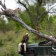 Los mejores destinos de safari en África