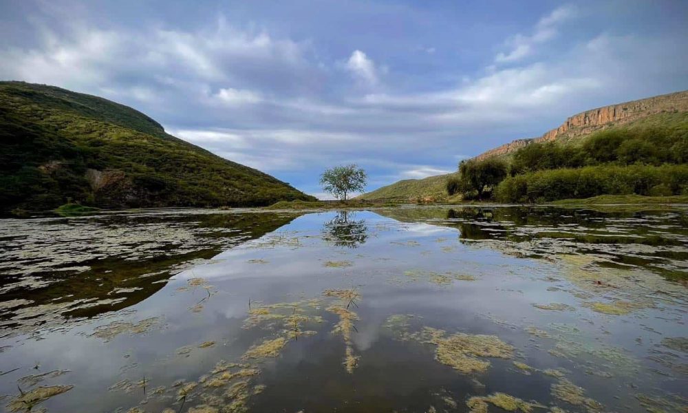 Aventura en la naturaleza: Descubre las bellezas de León