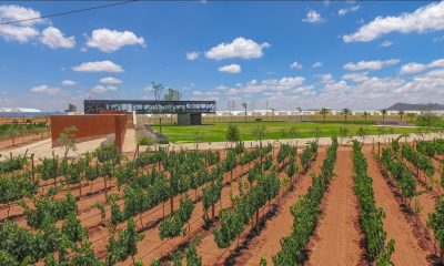 Zacatecas: entre historia, barricas y buen vino