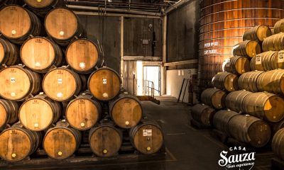 Casa Sauza: tradición, historia y experiencias únicas en el corazón del tequila