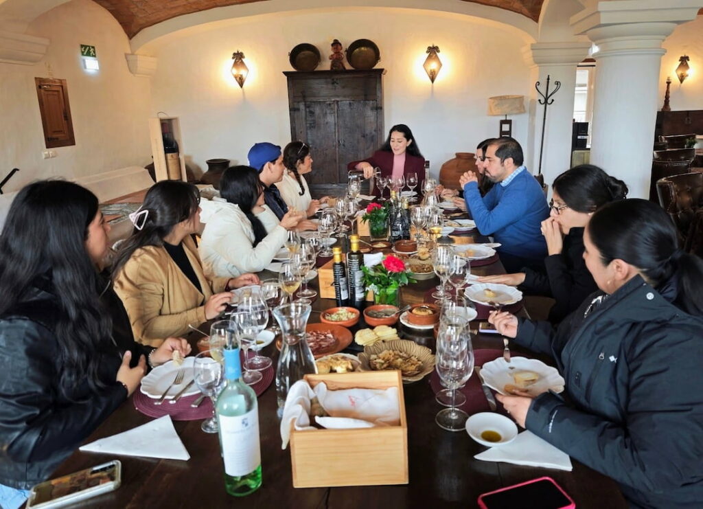 Vinedo Joao Portugal Ramos (1)