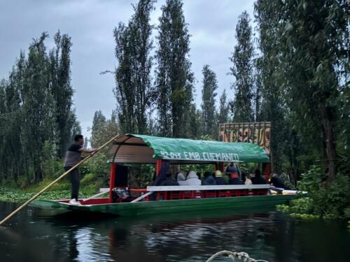 CONEXSTUR vive un amanecer de tradición en las chinampas de Xochimilco 11