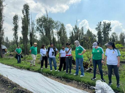 CONEXSTUR vive un amanecer de tradición en las chinampas de Xochimilco 25